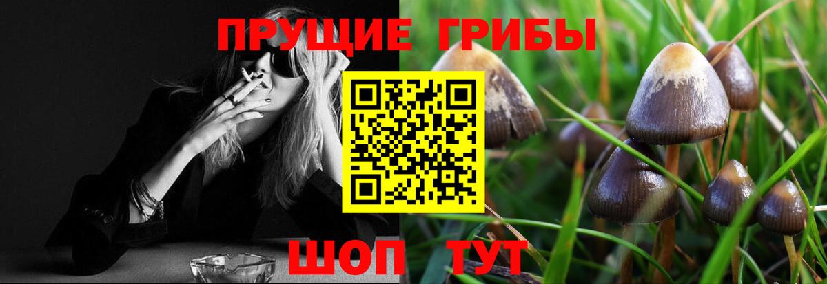 Псилоцибиновые грибы прущие грибы  Вход с VPN  Новоалтайск 